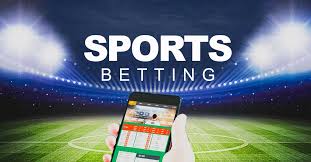 Best Online Casinos for High Rollers 5