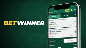 BetWinner Betting Platform Your Gateway to Exciting Sports Betting