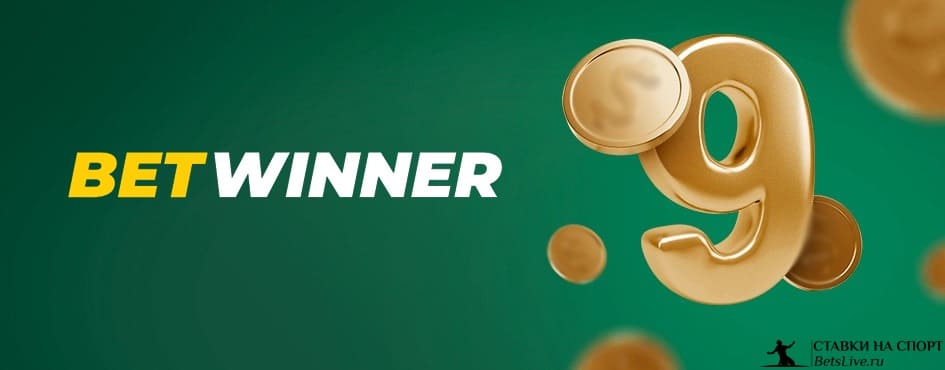 Discover the Thrills of BetWinner Sports Betting