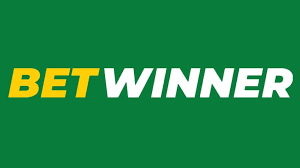 Expert Betwinner Sports Picks for Winning Bets