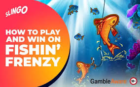 Exploring the Exciting World of Fishin' Frenzy Play 336623143