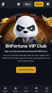 Best Live Tables at Bitfortune - Experience the Thrill of Real-Time Gaming