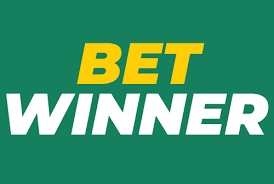 BetWinner Online Casino Your Gateway to Online Gaming Excellence
