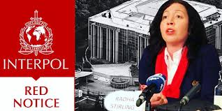 Understanding the Role of Interpol Defense Lawyers 1334015848